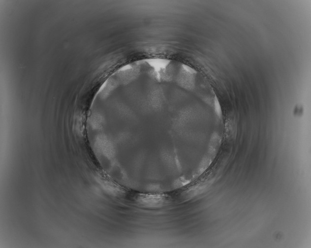 X0000095520671200801111437