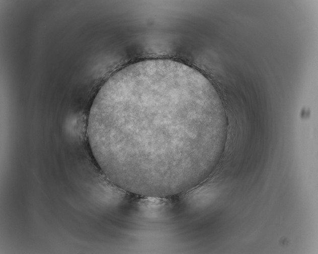 X0000095520672200801111437