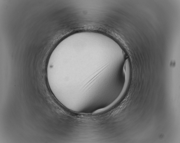 X0000095520673200801111437