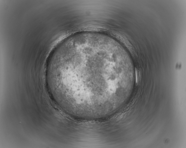 X0000095520675200801111437