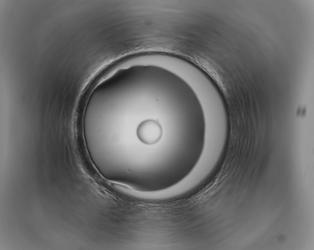 X0000095520676200801111437