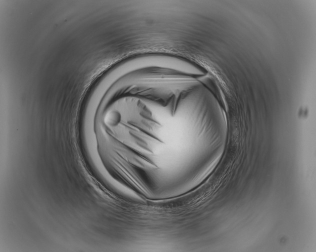 X0000095520677200801111437