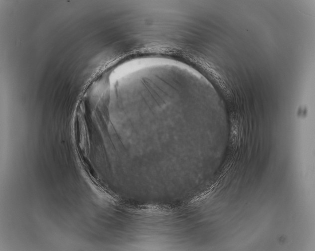 X0000095520678200801111437