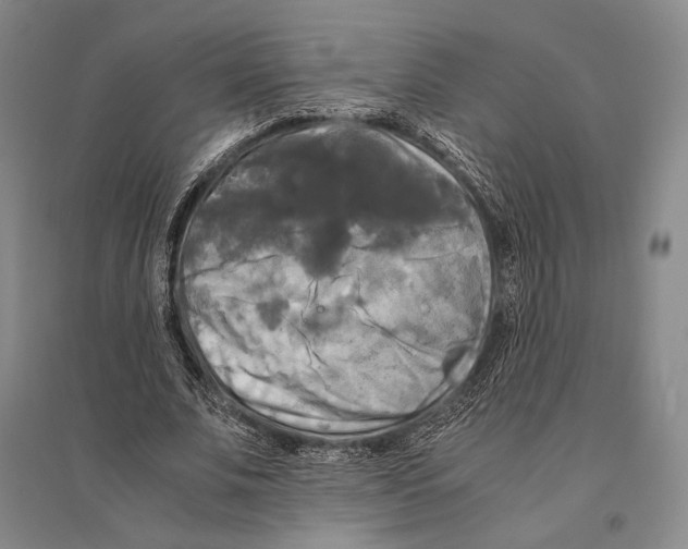 X0000095520679200801111437