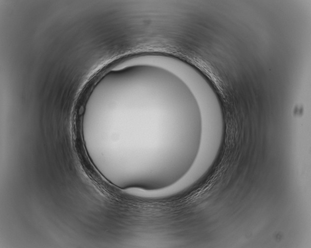 X0000095520680200801111437