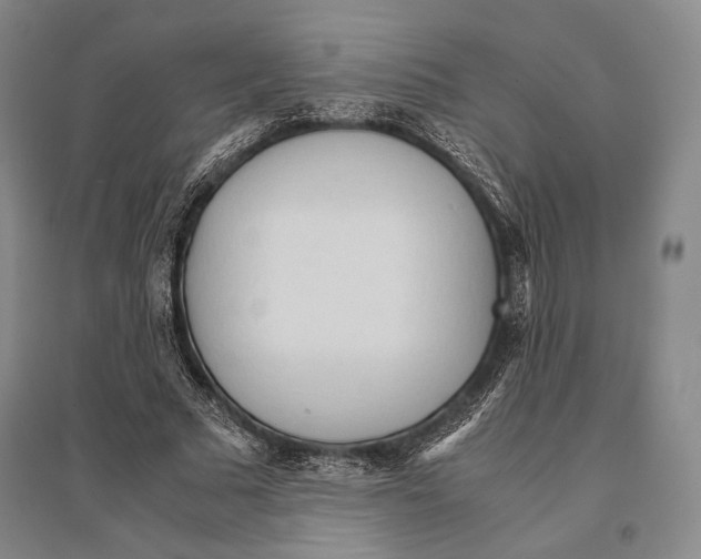 X0000095520681200801111437