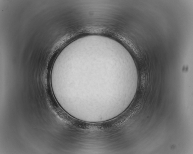 X0000095520682200801111437