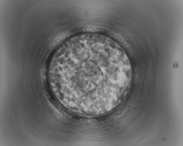 X0000095520683200801111436