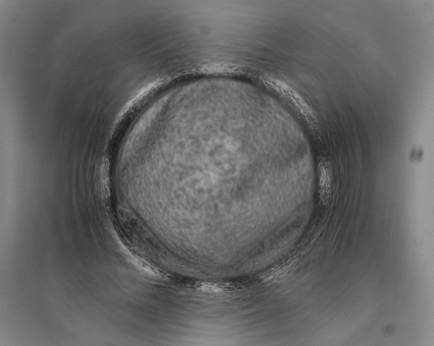 X0000095520684200801111436