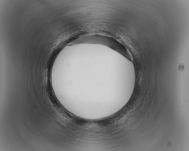 X0000095520685200801111436