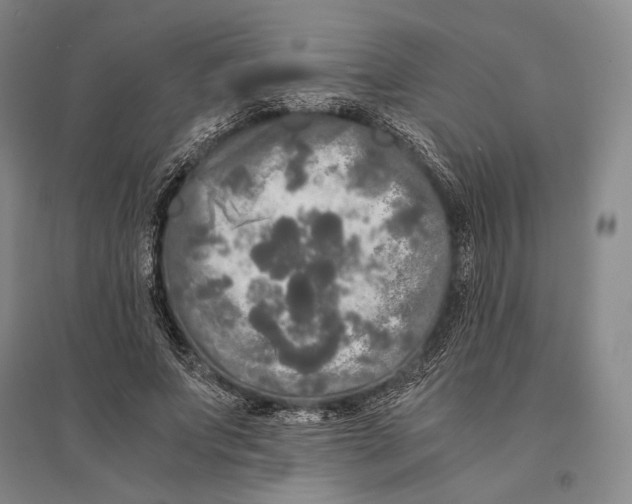 X0000095520687200801111436