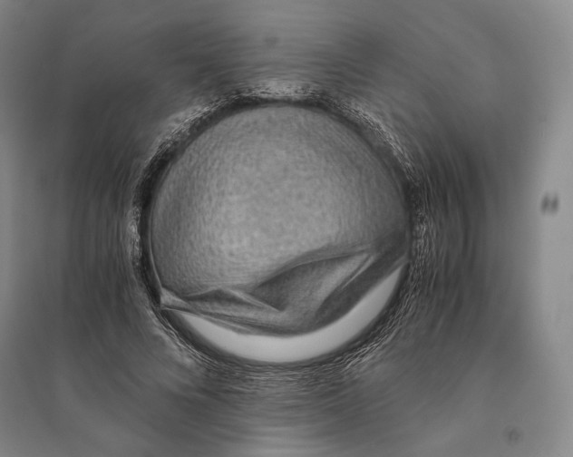 X0000095520688200801111436