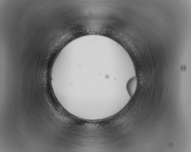 X0000095520690200801111436