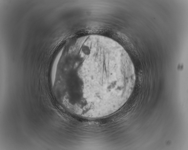 X0000095520691200801111436