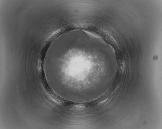 X0000095520692200801111436