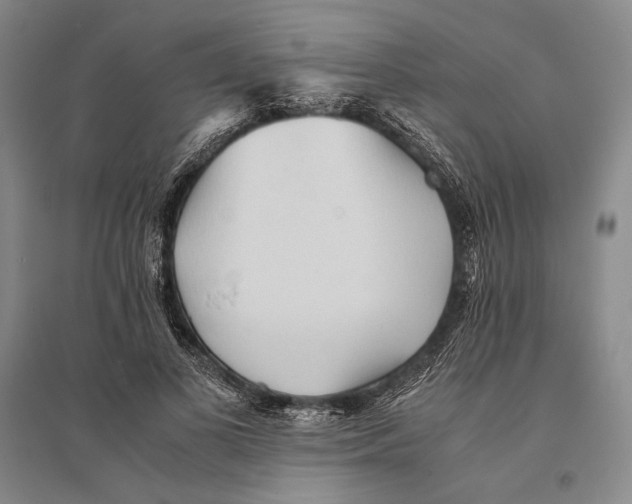 X0000095520693200801111436