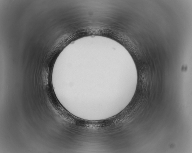 X0000095520694200801111436