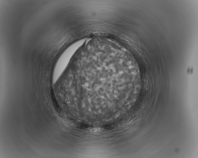 X0000095520695200801111436