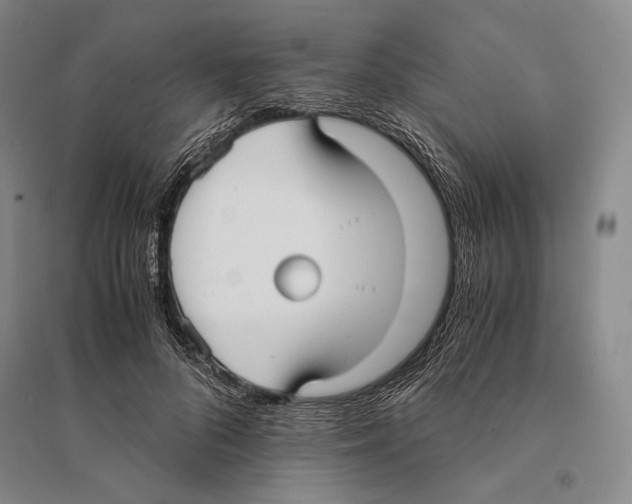 X0000095520696200801111436