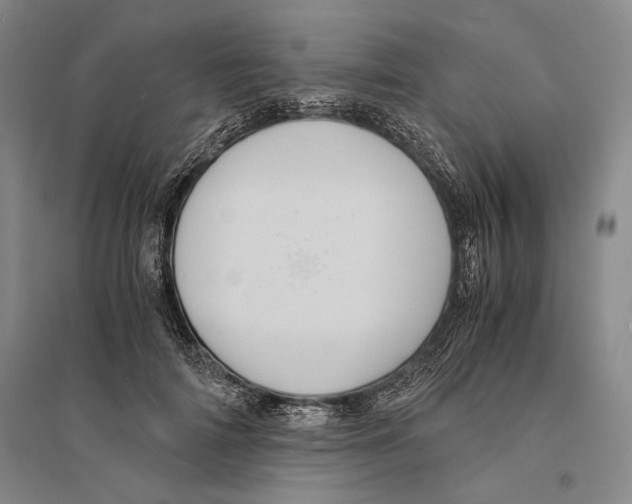 X0000095520698200801111436