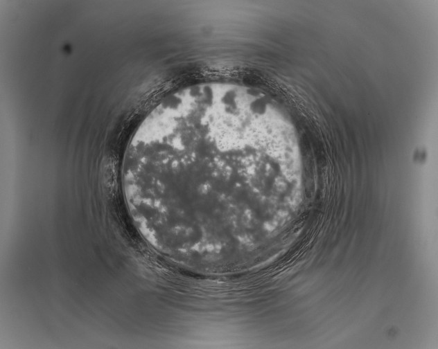 X0000095520699200801111436