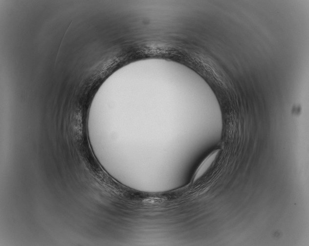 X0000095520700200801111436