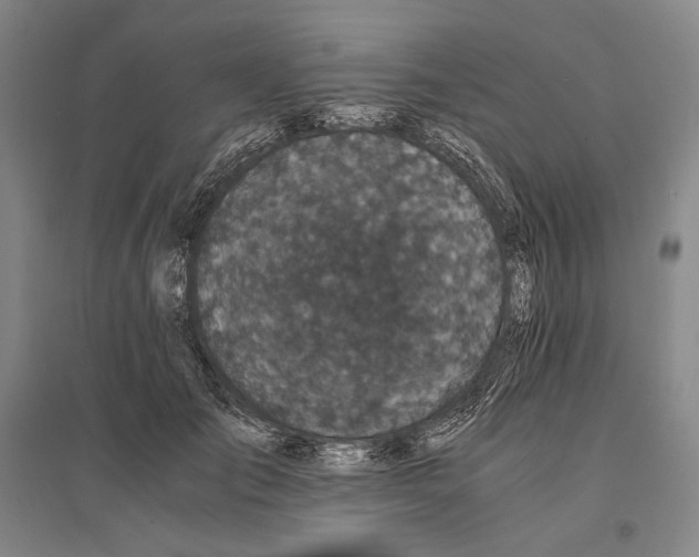 X0000095520701200801111436