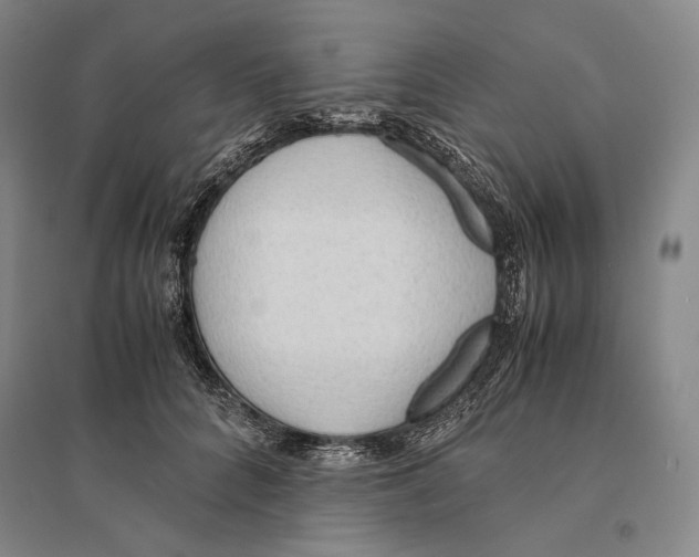 X0000095520704200801111436