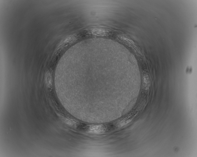 X0000095520705200801111436