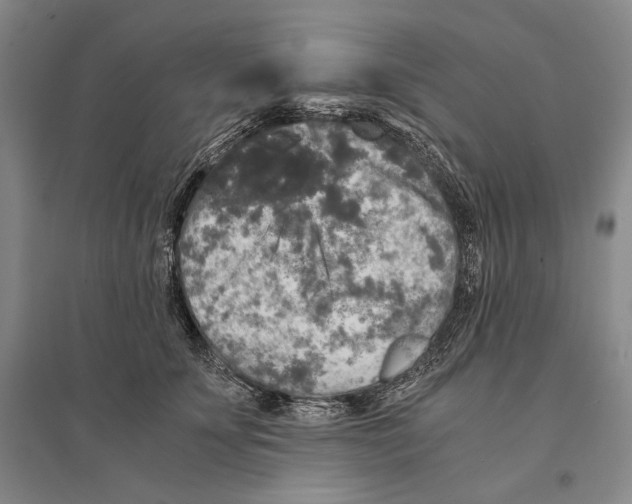 X0000095520707200801111436