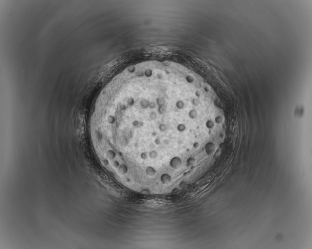 X0000095520708200801111436