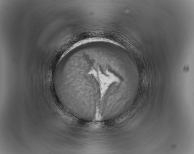 X0000095520711200801111436