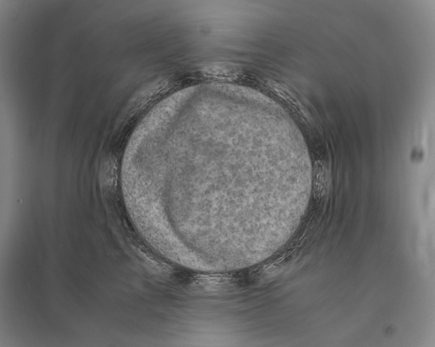 X0000095520713200801111436