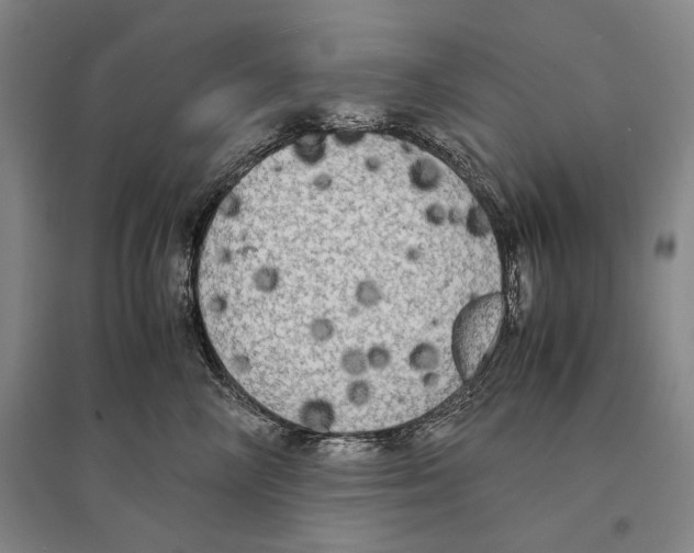 X0000095520714200801111436