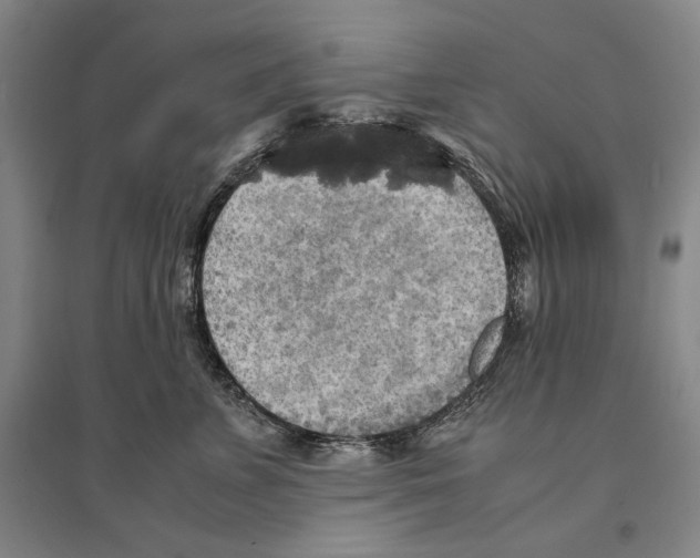 X0000095520715200801111436