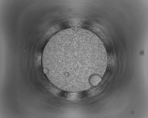 X0000095520717200801111436