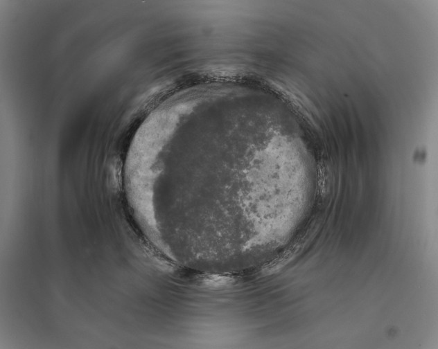 X0000095520718200801111436