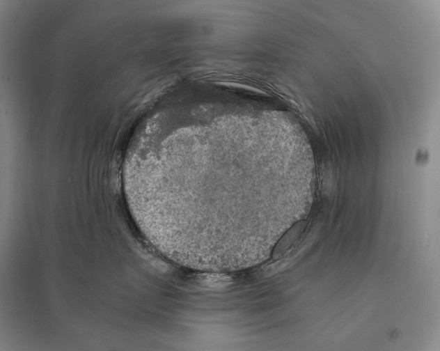 X0000095520719200801111436