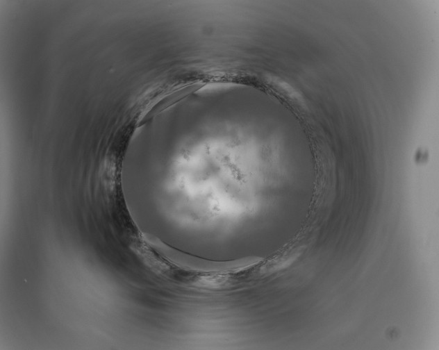 X0000095520720200801111436