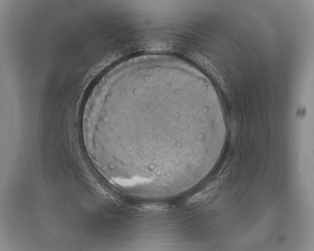 X0000095520721200801111435