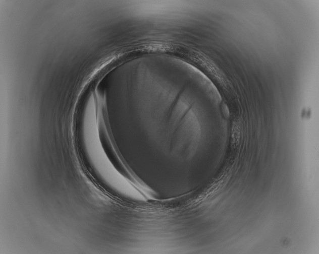 X0000095520722200801111435