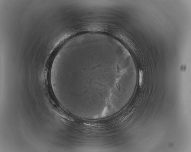 X0000095520723200801111435