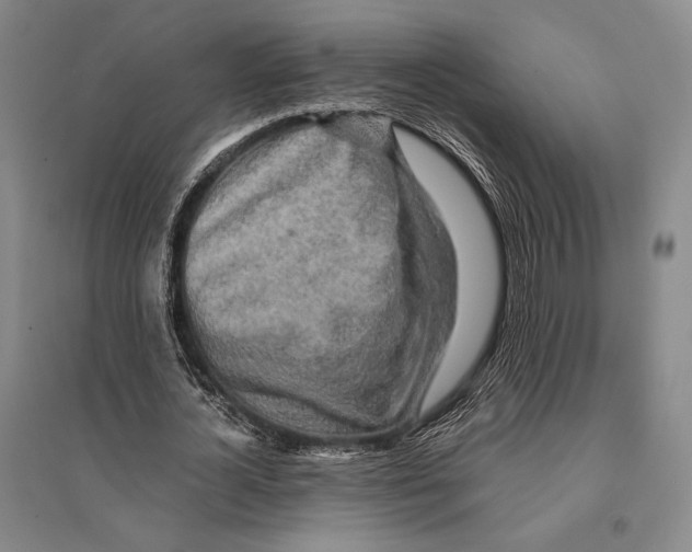 X0000095520724200801111435