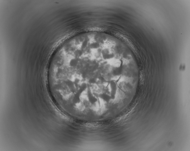 X0000095520725200801111435