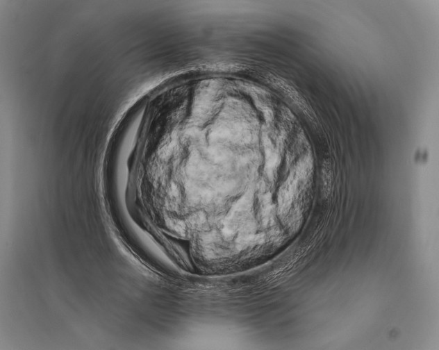 X0000095520726200801111435