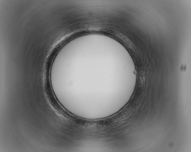 X0000095520728200801111435