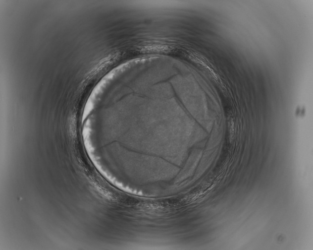 X0000095520729200801111435