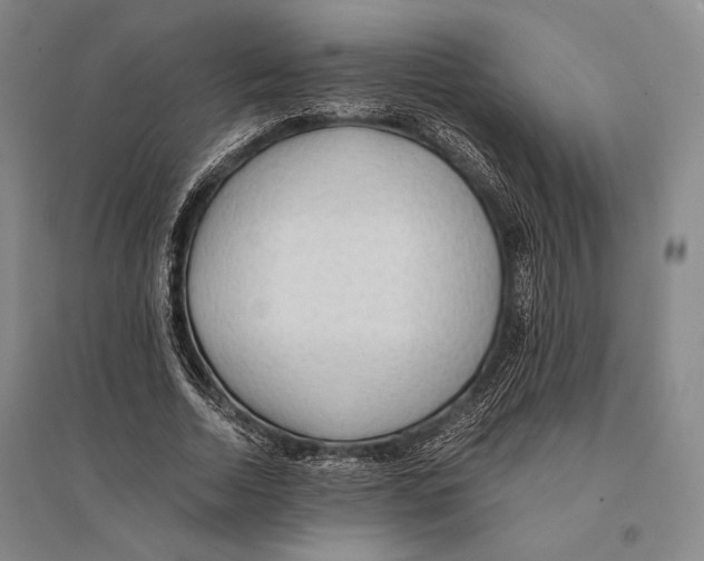 X0000095520730200801111435