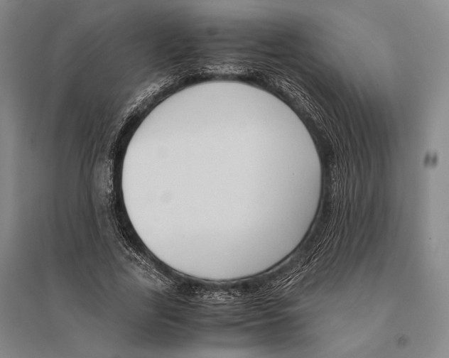 X0000095520731200801111435