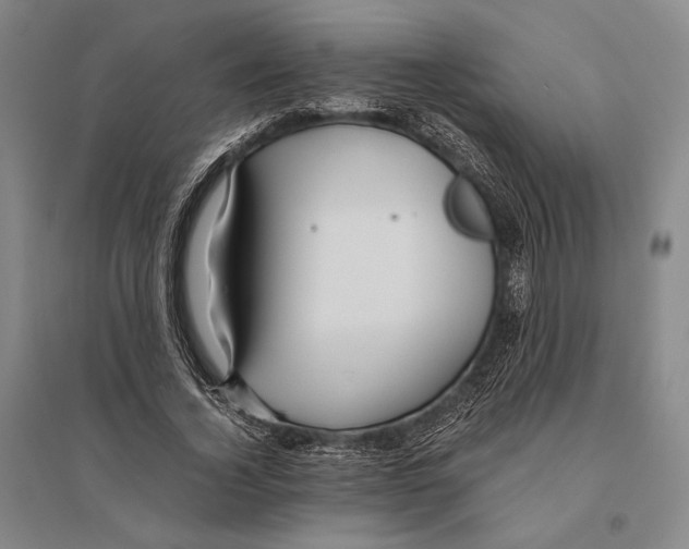 X0000095520732200801111435